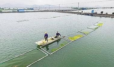 ¿AʽȻXSP(gun)ˮa(chn)B(yng)ֳI(y)Uˮ̎