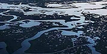 ¿AʽȻXSP(gun)ˮa(chn)B(yng)ֳI(y)Uˮ̎