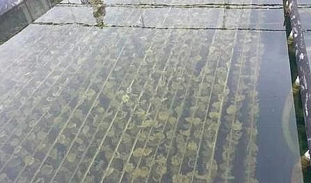 ¿AʽȻXSP(gun)ˮa(chn)B(yng)ֳI(y)Uˮ̎