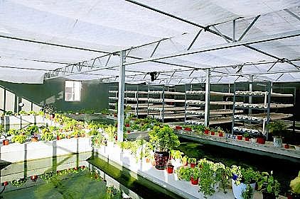 ʽҸϏSСӵˮl(f)]ˡЧ!