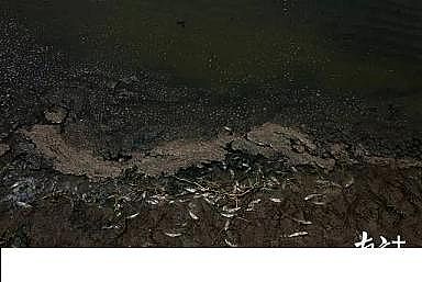 ¿PwS^a(chn)S|Ŀ@ģ20rB(yng)ֳˮֱŴ󺣣y׃ڞ!؟(z)l?