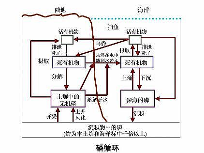 Ʒ|(zh)ʯVa(chn)SˮYԴĎׂ(g)Ԕ⣺׻ˮԴˮ