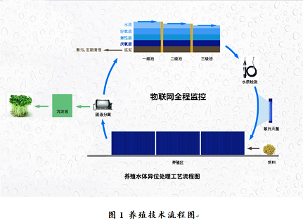 wWaSҡb+BsBֳcβˮЧ̎g