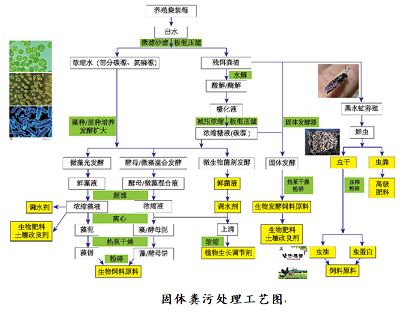 wWaSҡb+BsBֳcβˮЧ̎g