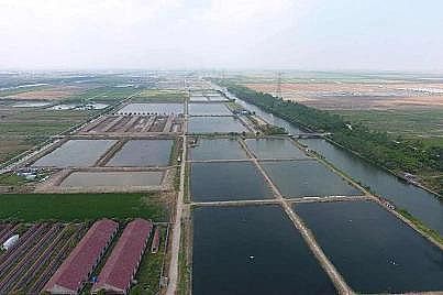 ʽwϏSB(ti)B(yng)βˮAҦ̽ˮa(chn)B(yng)ֳGɫ֮·