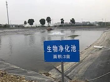 ʽwϏSB(ti)B(yng)βˮAҦ̽ˮa(chn)B(yng)ֳGɫ֮·