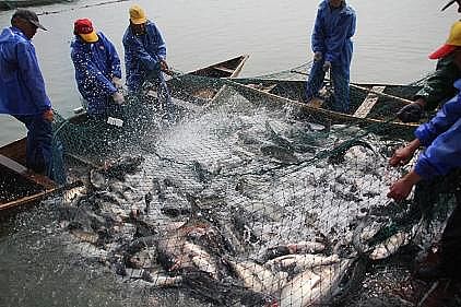 ʽwϏSB(ti)B(yng)βˮAҦ̽ˮa(chn)B(yng)ֳGɫ֮·