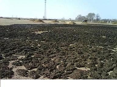 ҎʯVaSˮaBֳIلt_!{ˮ׸ÿ족!