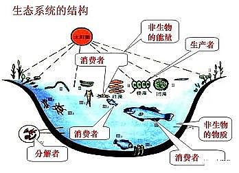 ҎʯVaSˮaBֳIلt_!{ˮ졢׸ߣÿ족!