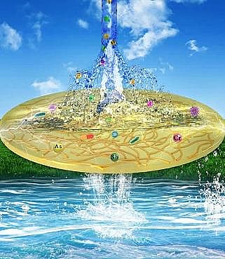 h(hun)ʯӢɰV8-16mmS늻ԷxĤI(lng)ȡϵоM(jn)չ