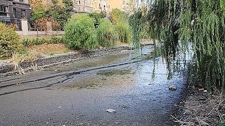 2021wÓɫaS2021ˮ̎Ј3Kݺҕ!