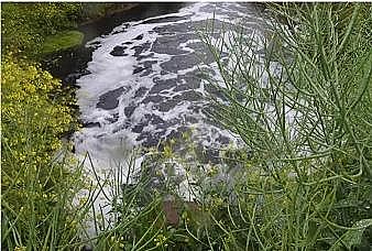 2021AʽȻXa(chn)Sҡն̝!1UVȾ100fˮL(zhng)ˮ(dng)Ⱦ{ƽ