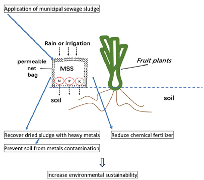 ʽϡɰVaSһNÓؽȾrüg
