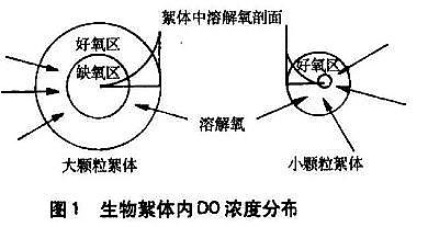 hˮ̎ˎͺ̼ԴSˮ̎g̳֮cͬą^e