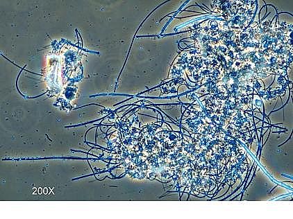 h(hun)۠̿SˮS(yng)Ûļg(sh)