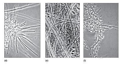 h(hun)۠̿SˮS(yng)Ûļg(sh)