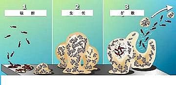 h(hun)۠̿SˮS(yng)Ûļg(sh)