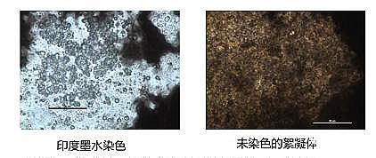 h(hun)۠̿SˮS(yng)Ûļg(sh)