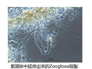 h(hun)۠̿SˮS(yng)Ûļg(sh)