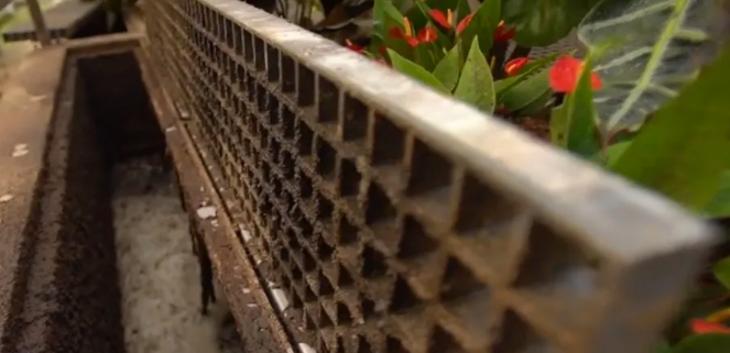 2021AʽȻXSҰ޵ԺơƏS̫ռgˮYԴ