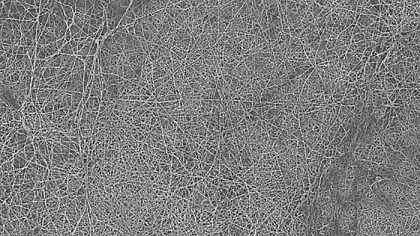 2021iɰVϏSұ_R{WоˆT_l(f)ĤÁxˮ