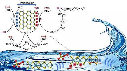 Ʒ13XӺYaSҏV|IWEnviron. Sci. Nano: MoS2{׻늻^һ}MˮЙCȾｵ