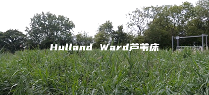 ƾۺȻXFPAFCa(chn)SҴһˮSąˇ