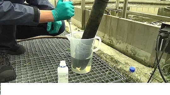 ๦ܷCбaSˮSԄӿϵy