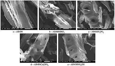 2021̿VσrAԌ̿Cr()ܵӰ