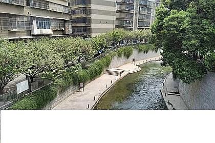 Ʒ|MBBRaSMȫȫʽˮSFtˮS