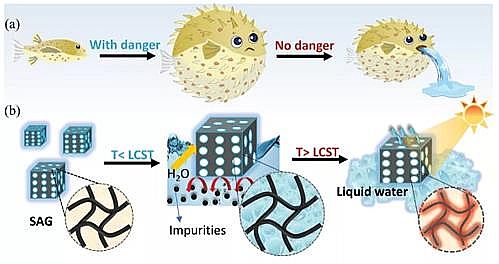xPwS^a(chn)S조ࡱ(sh)F(xin)̫(yng)܃ˮ̎NUˮкܴ