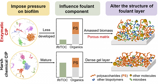 xľ~ʯVaSøϴɾɶlķB͸ĤȾ}