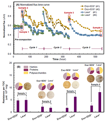 xľ~ʯVaSøϴɾɶlķB͸ĤȾ}