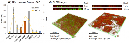xľ~ʯVaSøϴɾɶlķB͸ĤȾ}