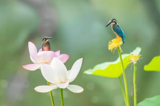 ʽVaSɽʯˮb׌ܺȵˮĂf׃ɬF