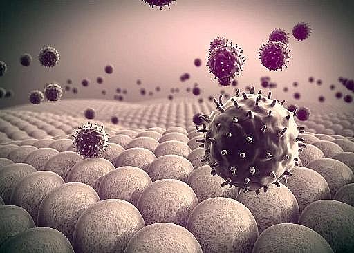 o(w)úV0.8-1mmSձаl(f)߸߲ȥʺ͸ͨȫ³VĤ