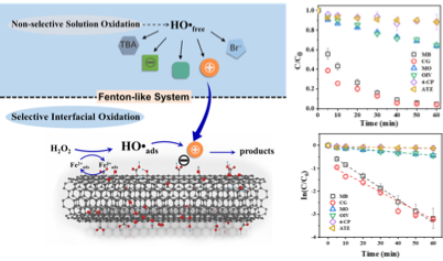 2021iɰVaSxԸ߼gԭоȡMչ