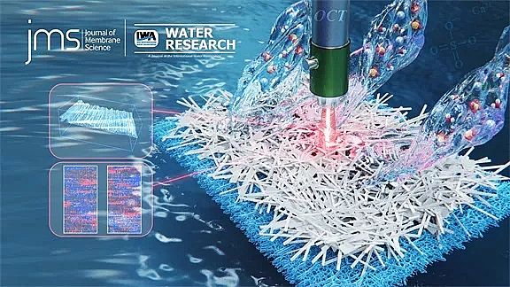 ʽϡɰVϏSҰl(f)Ĥsϵоɹ