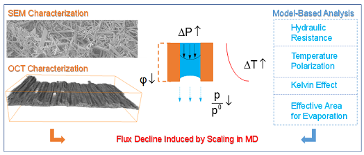 ʽϡɰVϏSҰl(f)Ĥsϵоɹ