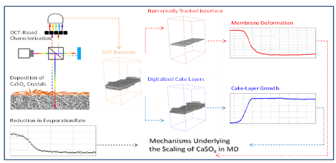 ʽϡɰVϏSҰl(f)Ĥsϵоɹ