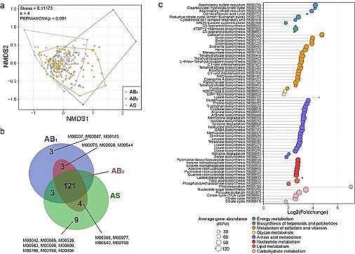 Ʒ|MBBRSĤp΢ԴܽЙCŷ