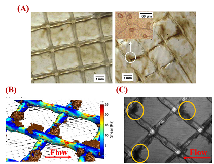 h(hun)o(w)úVϏSˮ̎þʽĤMM(jn)ˮW(wng)c܃(yu)