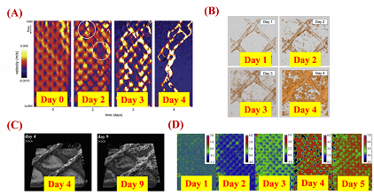 h(hun)o(w)úVϏSˮ̎þʽĤMM(jn)ˮW(wng)c܃(yu)