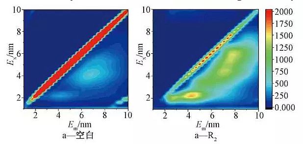 2021XSҳߜ԰l(f)ѷ̎^}(du)Қw΢ȺӰ