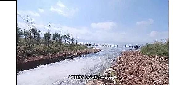 精選13X分子篩生產(chǎn)廠家環(huán)保“假專(zhuān)家”,開(kāi)“假藥方”,扮演“科研掮客”角色