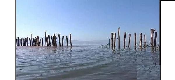 精選13X分子篩生產(chǎn)廠家環(huán)保“假專(zhuān)家”,開(kāi)“假藥方”,扮演“科研掮客”角色