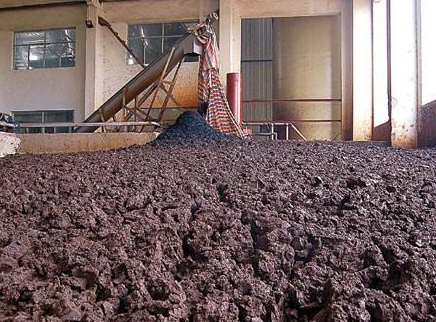 xxӾ۱ϩCPAMaS̎̎ĴglչB