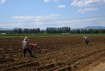 ϵú|(zh)w̿SԴȾ֪RcƼg(sh)