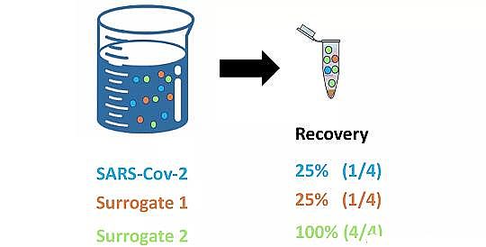 Ʒ|ۺȻFa(chn)Sҡ36Nzyˮ¹ڲzyˮԸۙ¹ڲĂڅ