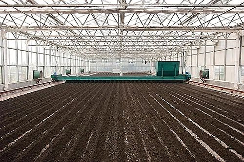 ϵxӾ۱ϩCPAMSЈĿU!ǧ|ҎģԽкò?